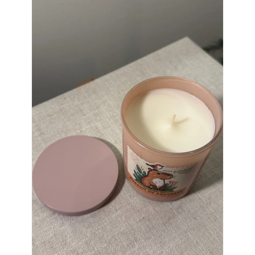 California Candle Capybara adorable home spa Jasmine Saffron Cedarwood 9oz nwt